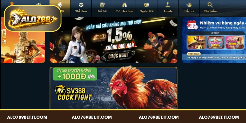 ALO789 BET - Top 5 trang đá gà trực tiếp uy tín, đáng tin cậy