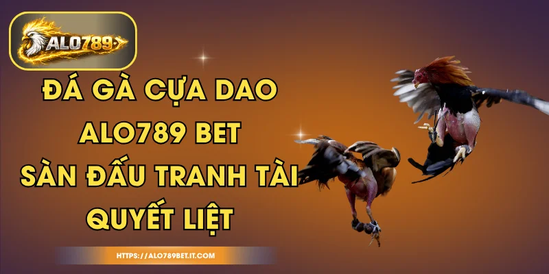 Đá gà cựa dao ALO789 BET -  Sàn Đấu Tranh Tài