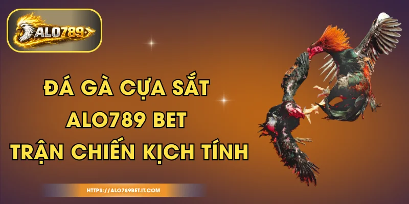 Đá Gà Cựa Sắt ALO789 BET - Trận Chiến Kịch Tính