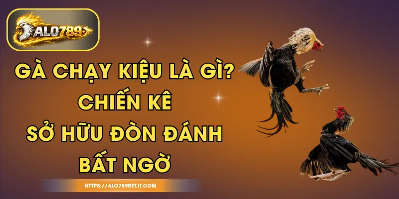 Gà Chạy Kiệu Là Gì? Chiến Kê Sở Hữu Đòn Đánh Bất Ngờ