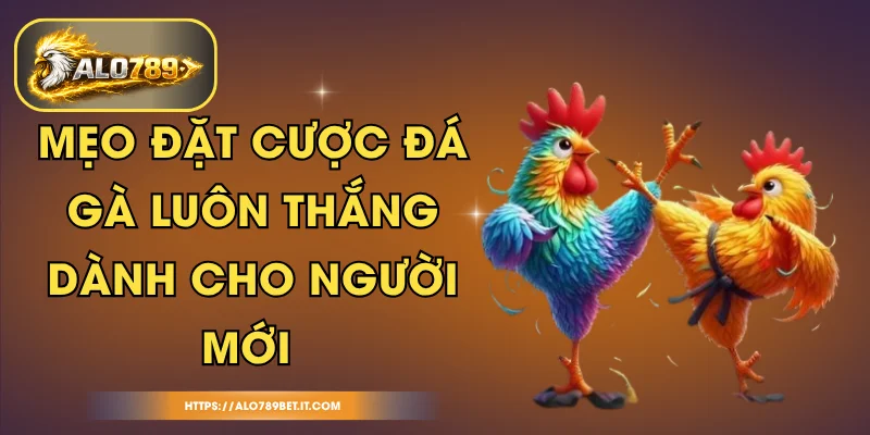 Mẹo Đặt Cược Đá Gà Luôn Thắng Dành Cho Người Mới