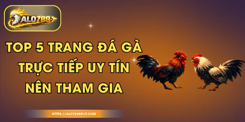 Top 5 Trang Đá Gà Trực Tiếp Uy Tín, Nên Tham Gia