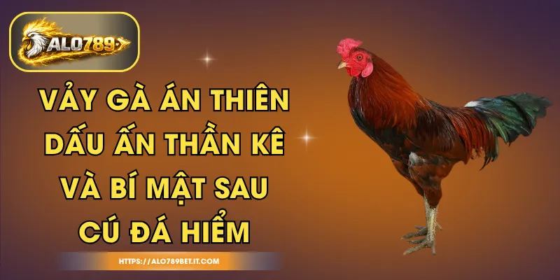 Vảy Gà Án Thiên - Dấu Ấn Thần Kê Và Bí Mật Sau Cú Đá Hiểm